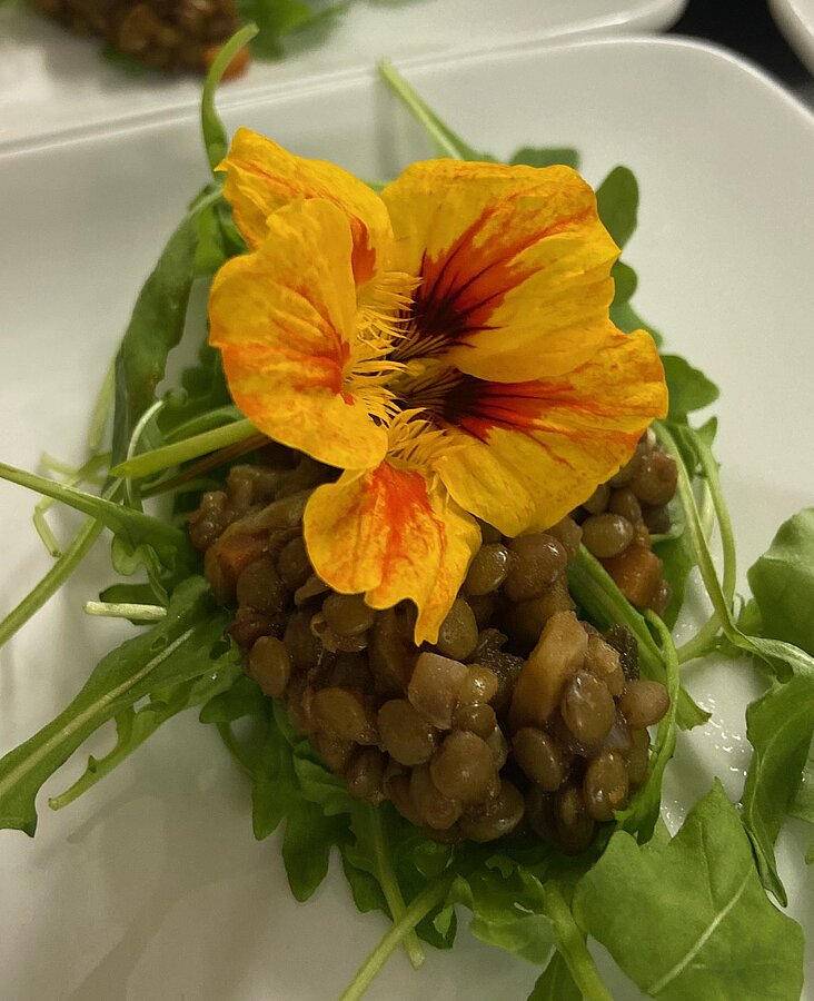 Bunte Vorspeise mit Gemüse und Käse Bunt angerichteter Vorspeisenteller mit Gemüse und Käse