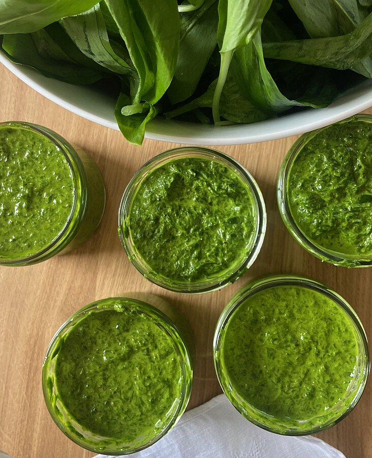 Bärlauchpesto Frisches Bärlauchpesto in Gläsern