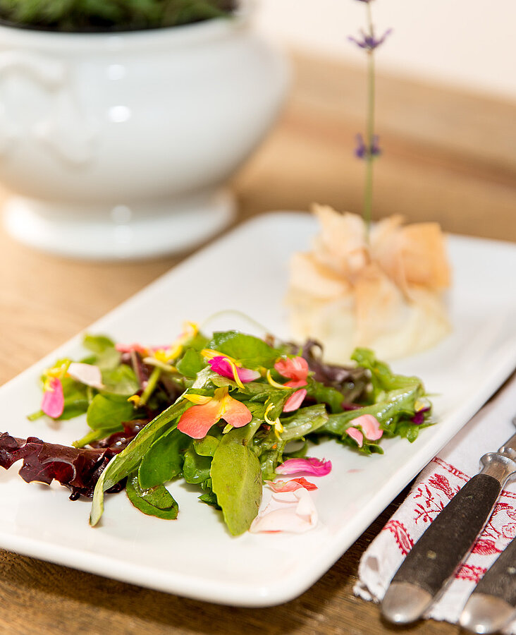 Leichtes Gericht mit Fisch und Salat Ansprechend angerichteter Teller mit Fischfilet, Gemüse und Dip aus der Küche des Hotel-Landgasthof KREUZ
