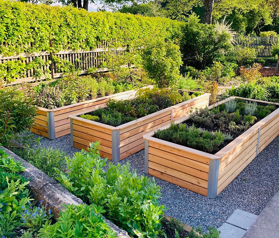 Kräuterhochbeete Gemüsebeet im Garten mit frischen Kräutern und Hochbeet