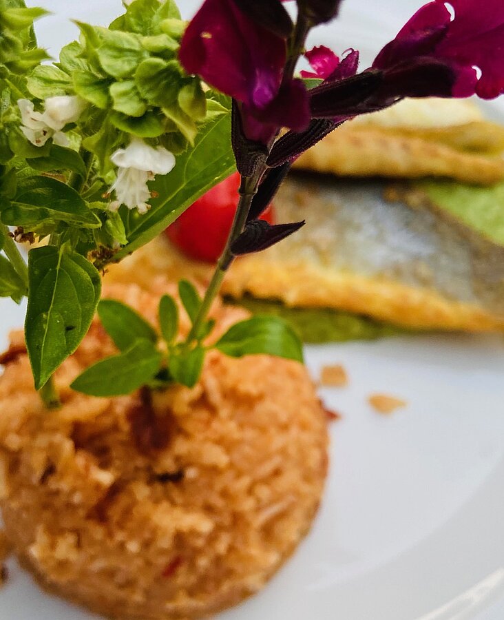 Fischgericht Bunt angerichteter Teller mit Gemüse und Fisch