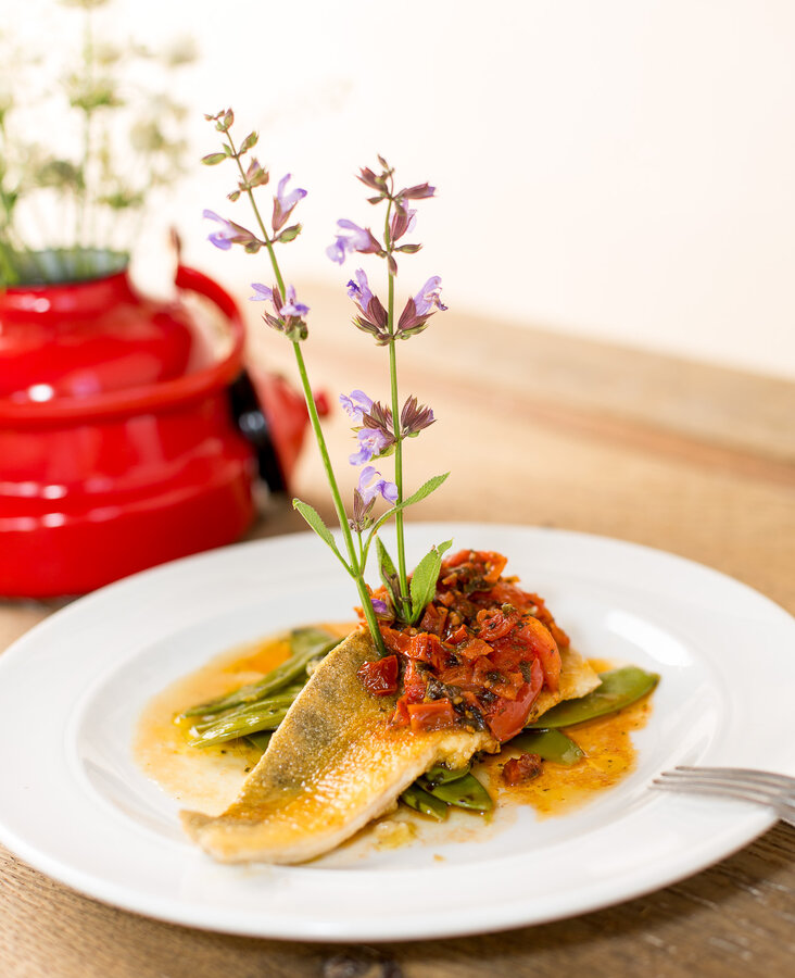 Dessert und Hauptgang im Hotelrestaurant Fein angerichtetes Hauptgericht mit Vorspeise und dekorativer Blume im Restaurant des Hotel-Landgasthof KREUZ